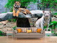 Фотообои Любознательные тигры - 1