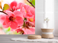 Фотошпалери Квітка яблуні - 2