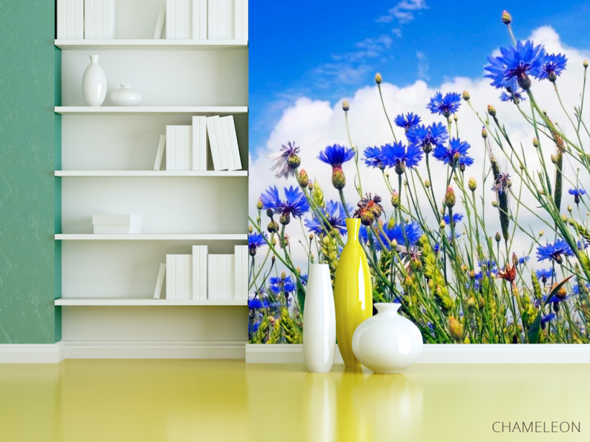 Фотошпалери Поле васильків - 3