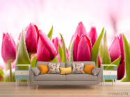 Фотообои Розово-малиновые тюльпаны - 1