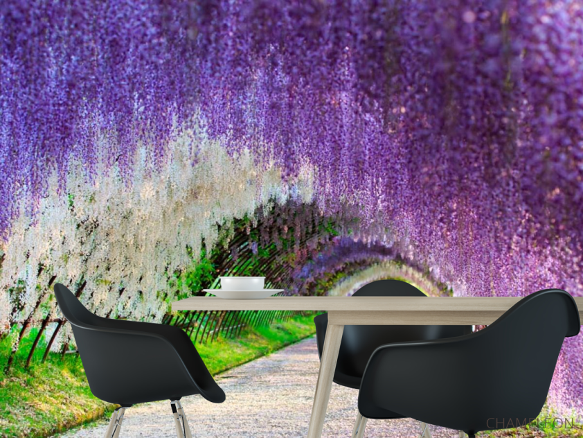 Фотошпалери Квіти на каркасі - 1