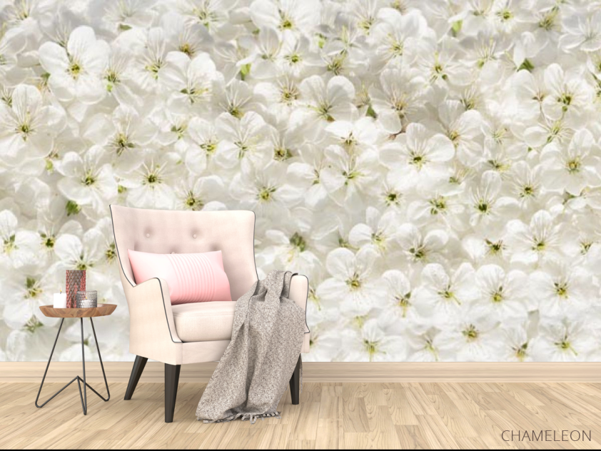 Фотообои белые цветы - 4