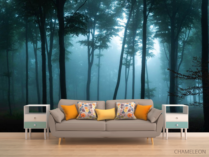 Фотообои Тёмный лес - 1