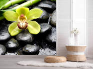 Фотошпалери Зелена орхідея, камені - 2