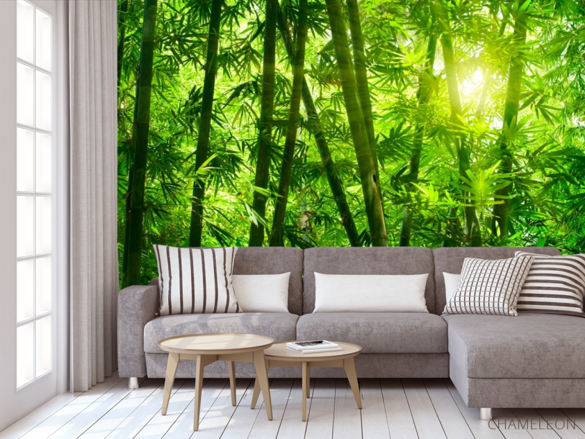 Фотообои Тропическая зелень - 3