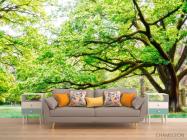 Фотообои Много веток, дерево - 1