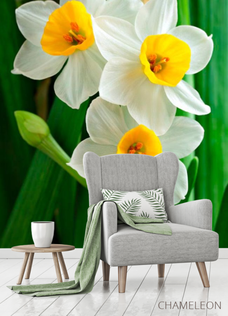Фотообои Нарциссы обынковенные - 3