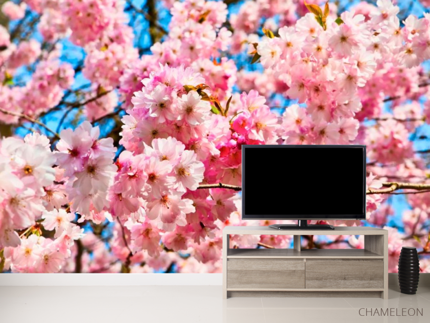 Фотообои Цветение розового дерева - 2