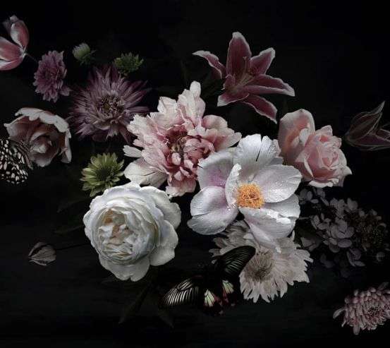 Фотошпалери мікс кольорів Фотошпалери мікс кольорів 30127