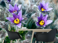 Фотошпалери Фіалки - 1