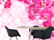 Фотошпалери Рожеві орхідеї і вода - 1