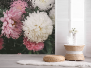 Фотошпалери Хризантеми з краплями дощу - 2