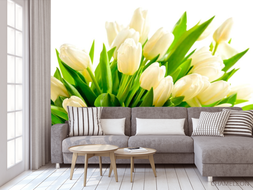 Фотообои Тюльпаны - 3