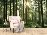 Фотообои лес со стройными деревьями - 4