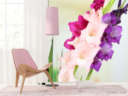 Фотошпалери гладіолуси - 4