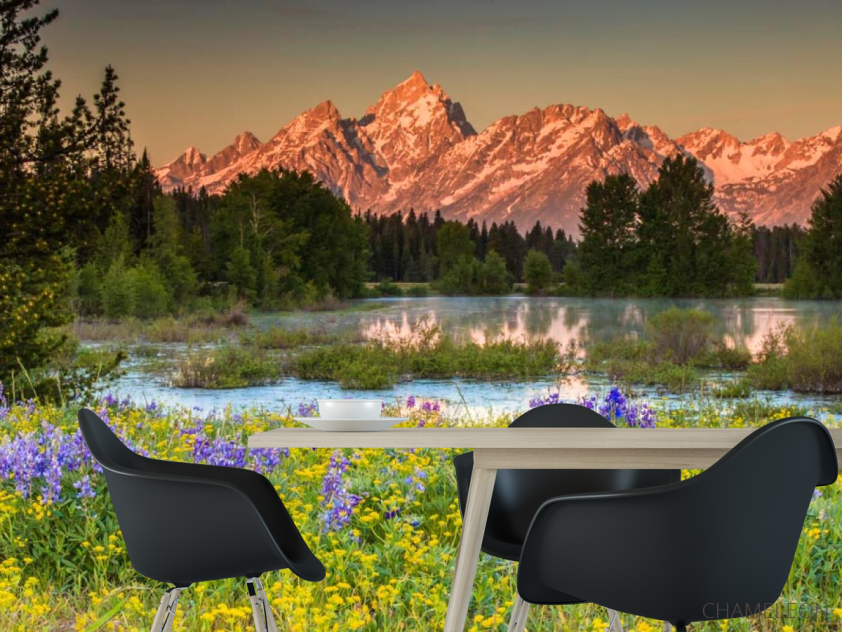 Фотошпалери Природа, гори, квіти - 1