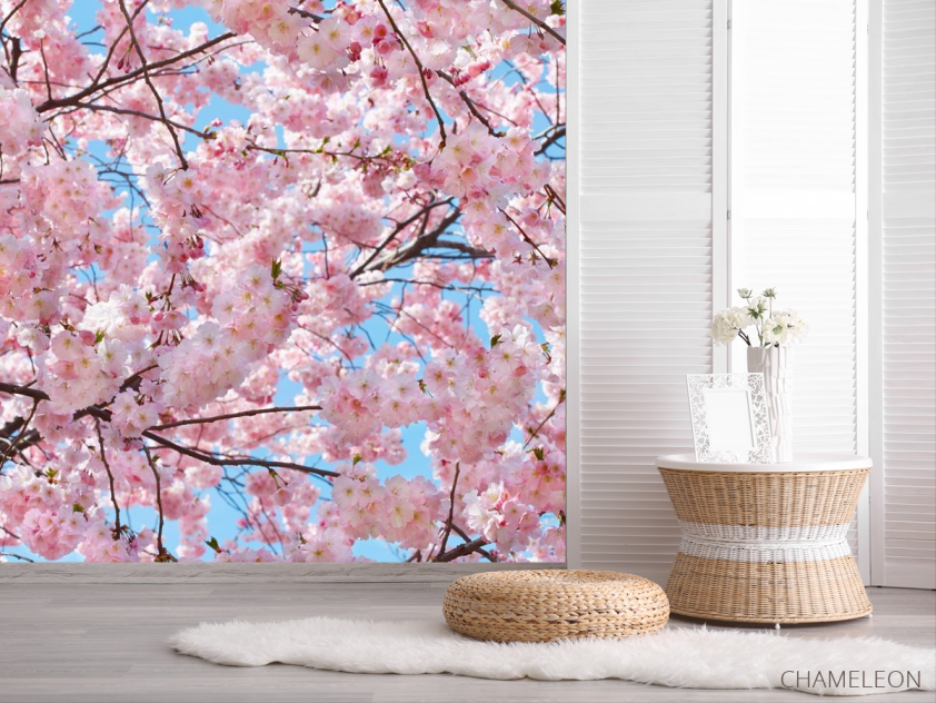 Фотошпалери квітуче дерево - 2