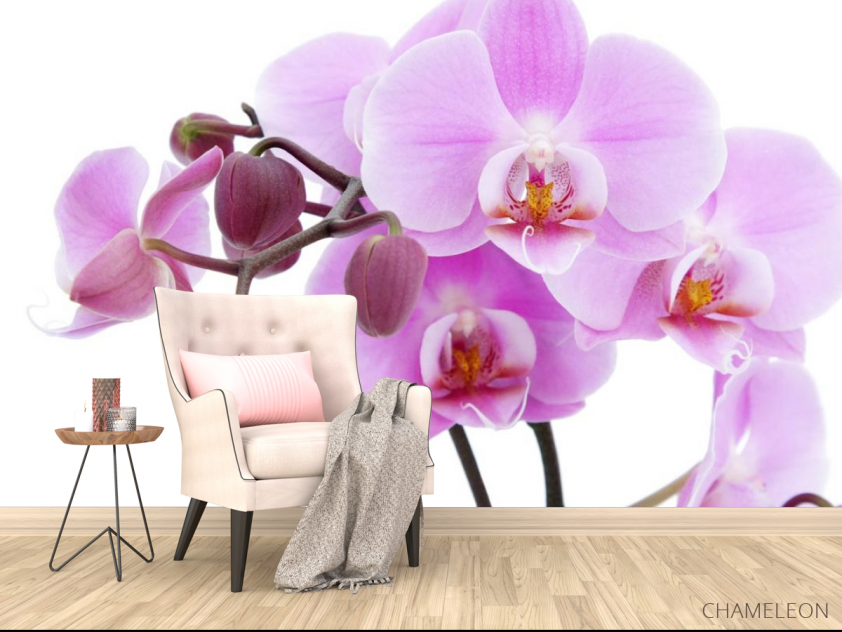 Фотообои сиреневая орхидея - 4
