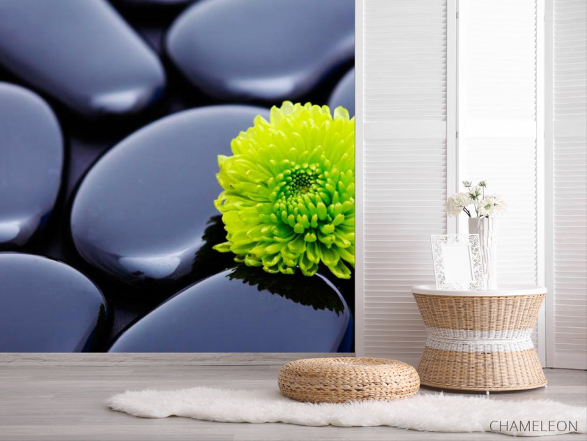 Фотошпалери Квітка і камені - 2