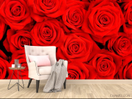 Фотообои Розы ярко-алые - 4