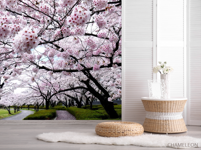 Фотошпалери дерева з білими квіточками - 2