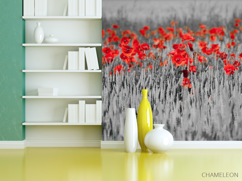 Фотошпалери Червоні маки на тлі чб - 3