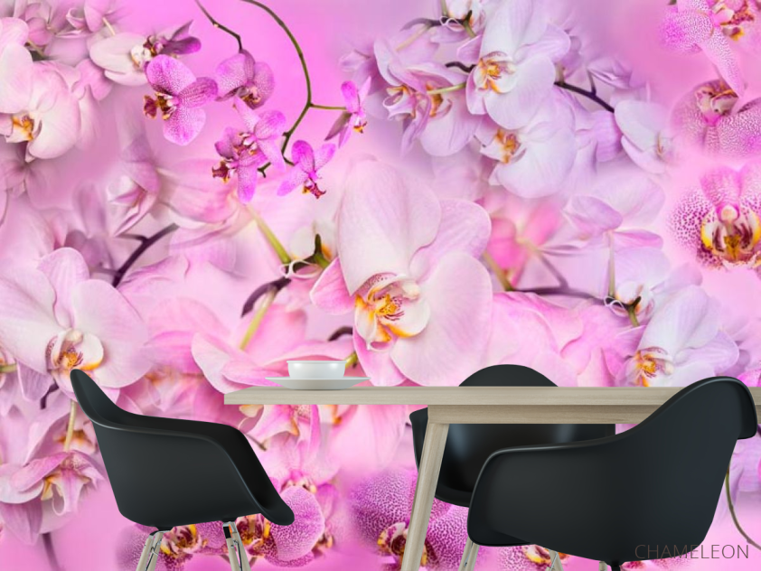 Фотошпалери Дизайнерська колекція - 1