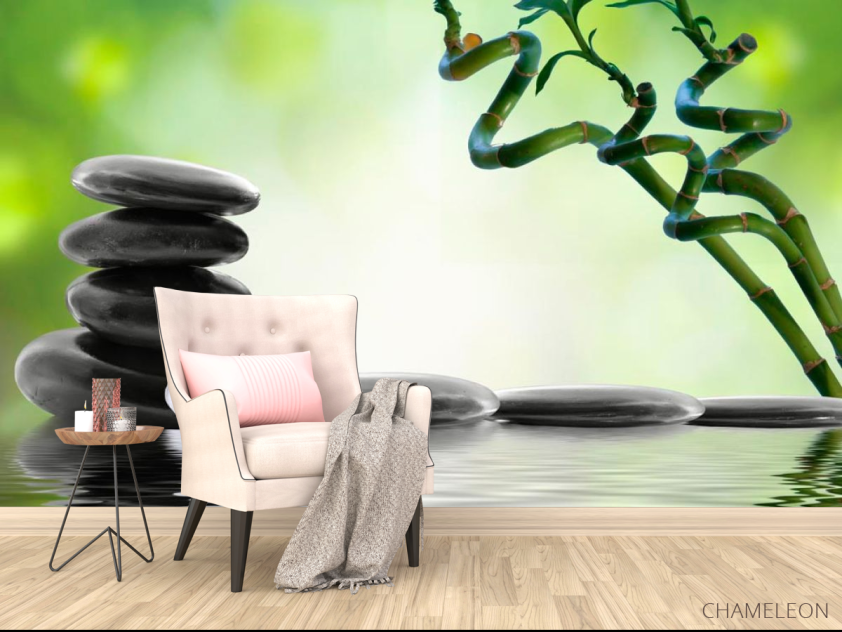 Фотообои Веточки, камни, цветок - 4