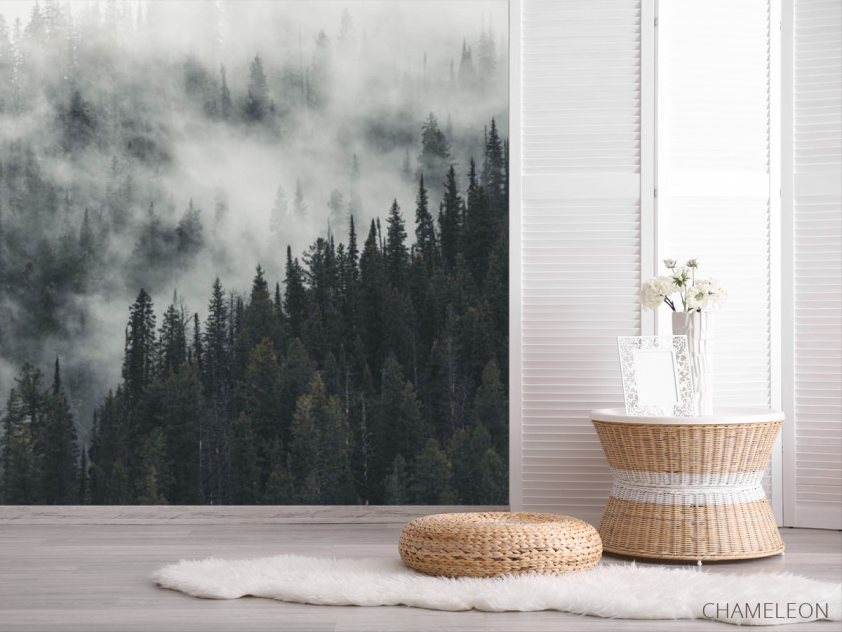 Фотошпалери Туманний ліс - 2