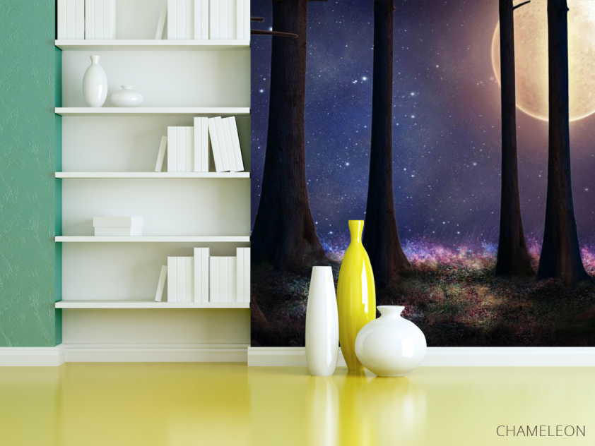 Фотошпалери місяць в лісі - 3