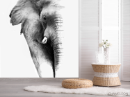 Фотошпалери Слон - 2