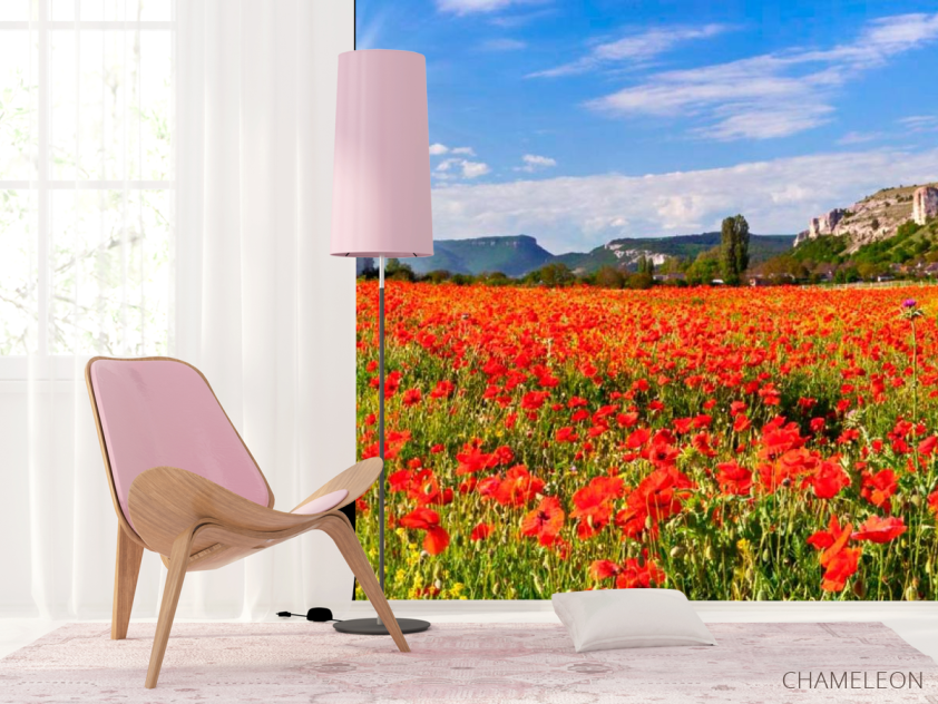 Фотошпалери Поле маків - 4