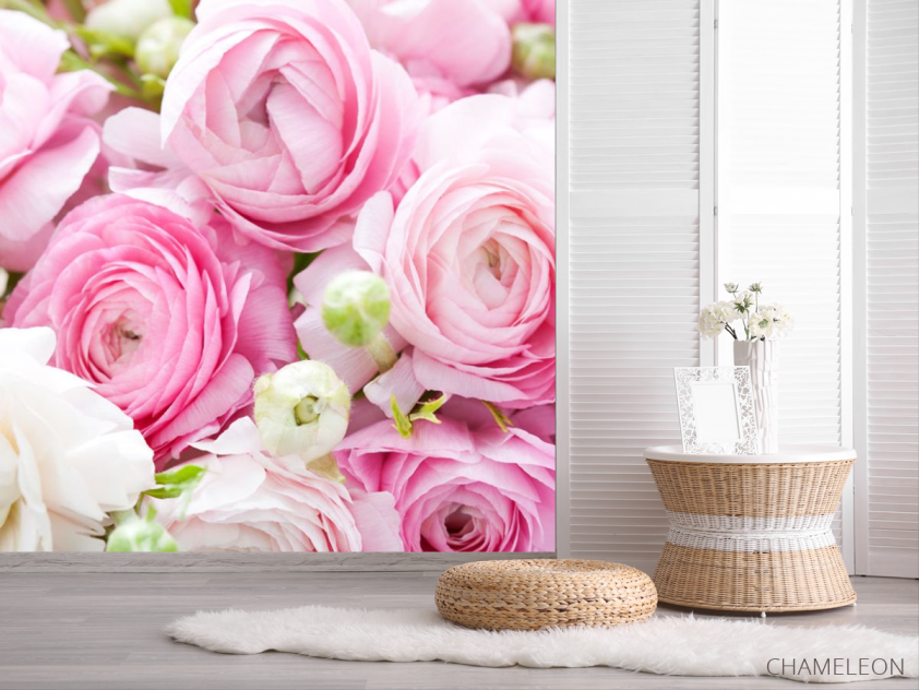 Фотошпалери Рожеві рунункулюсы - 2