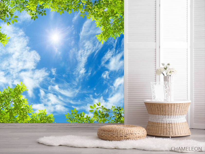 Фотошпалери Гілки і небо стеля - 2