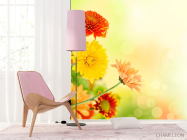 Фотообои Хризантемы разных оттенков - 4