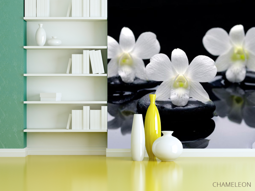 Фотошпалери Білі орхідеї на каменях - 3