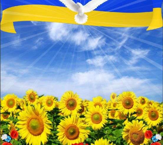 Фотообои в школу Фотообои в школу 33653