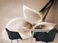 Фотошпалери біла лілія - 1