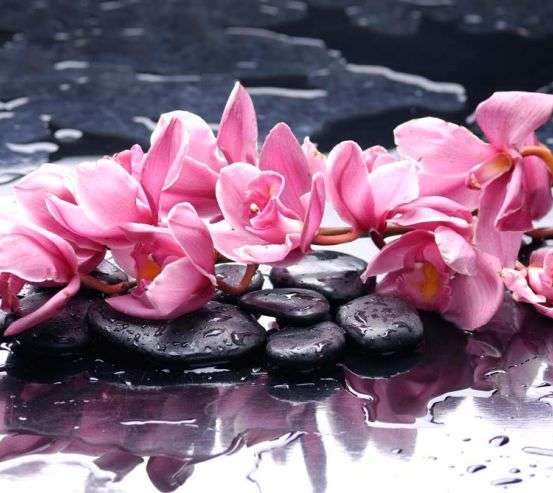 Фотообои Сиреневые цветы и камни Фотообои Сиреневые цветы и камни 6537