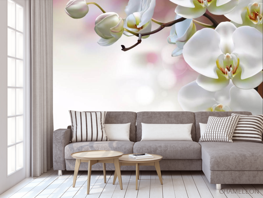 Фотообои Орхидеи - 3