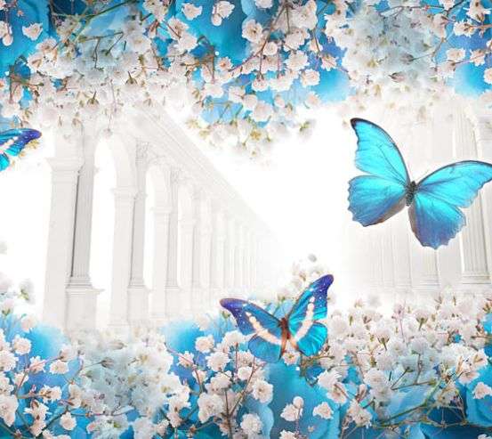 Фотообои бабочки 29145