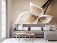 Фотообои белая лилия - 3