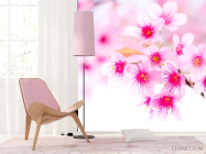 Фотошпалери Квітуча навесні дерево - 4