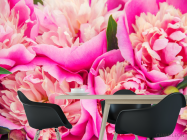 Фотошпалери Яскраво рожеві півонії - 1