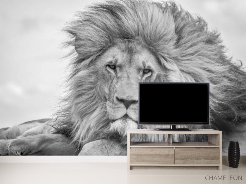 Фотообои лев - 2