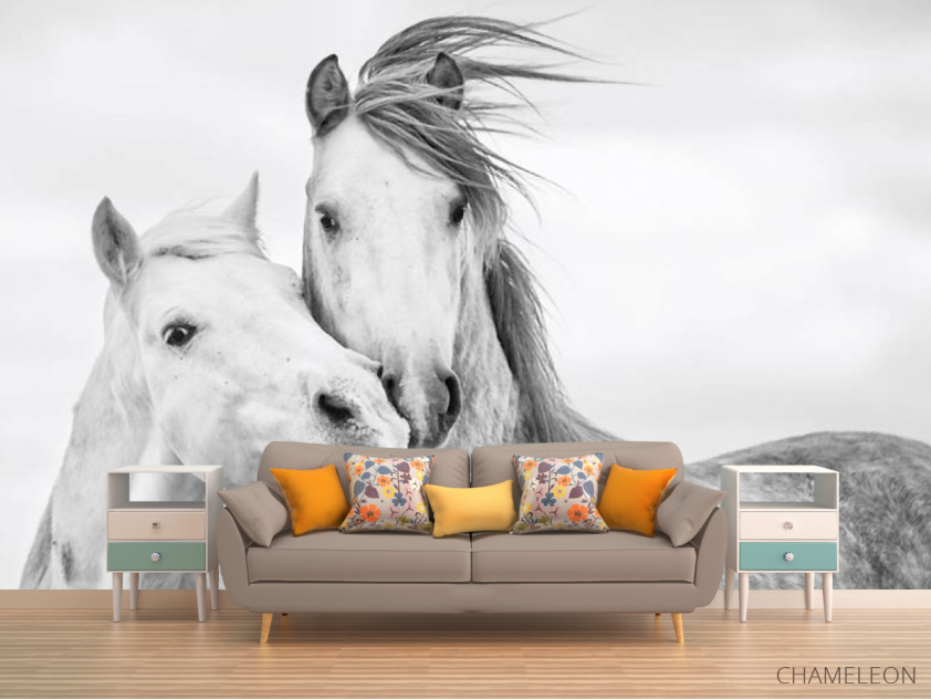 Фотообои лошадки - 1