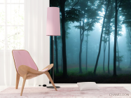 Фотошпалери туманний ліс - 4