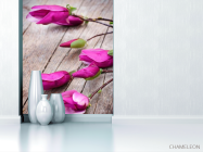 Фотообои Цветок семейства бобовых - 1