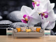 Фотообои Белые с малиновым орхидеи - 1