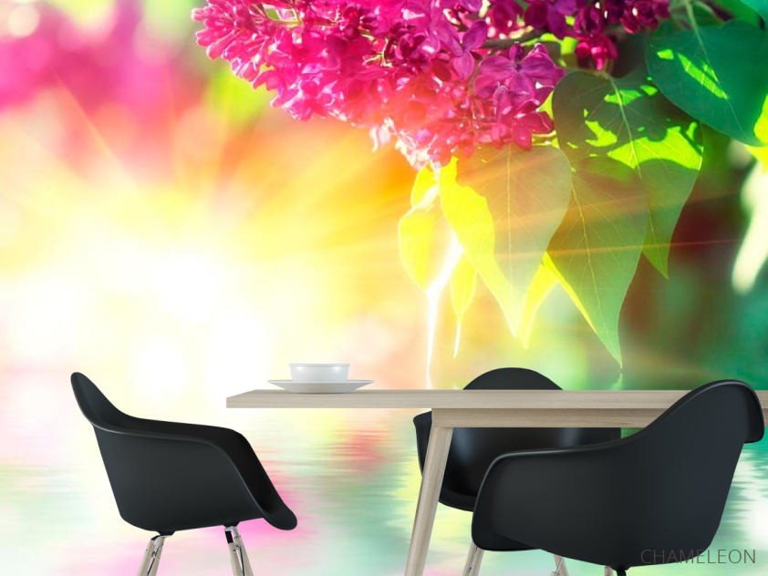 Фотообои Сирень - 1